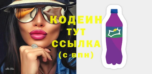 ПСИЛОЦИБИНОВЫЕ ГРИБЫ Богданович