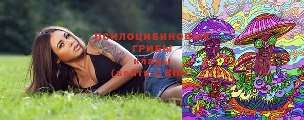 ECSTASY Бугульма