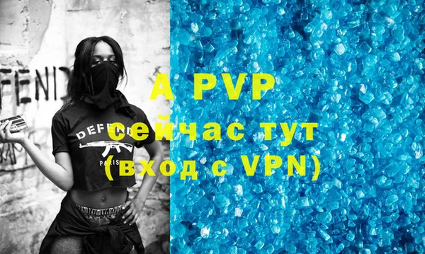 ПСИЛОЦИБИНОВЫЕ ГРИБЫ Богданович