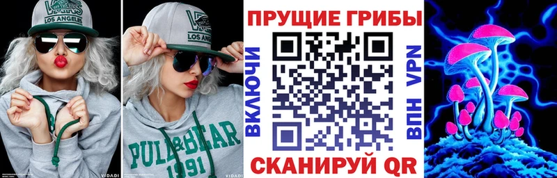Купить где  Кимовск  Галлюциногенные грибы MAGIC MUSHROOMS 